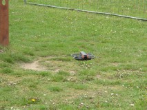 DSC00391