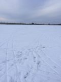 IMG-20250106-WA0009