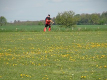Arbeitseinsatz3
