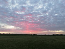 230518_Lenz_34